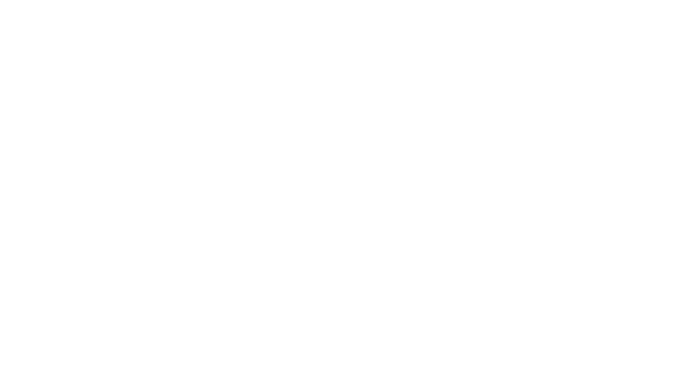 graves law pllc logo white